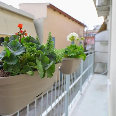 Phaedra Apartment 雅典 Exterior photo